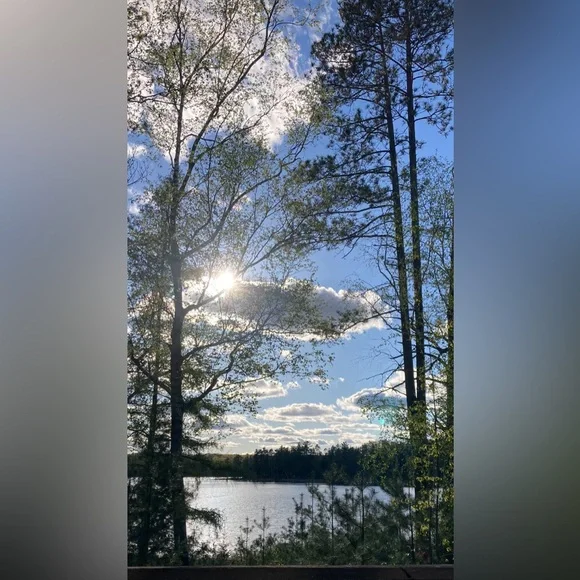 Meet your Posher, Tree - Picture 2 of 2